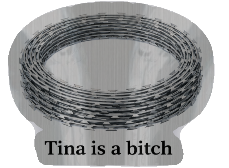 TINA IS A BITCH